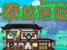 泰拉瑞亚肉山前npc有什么